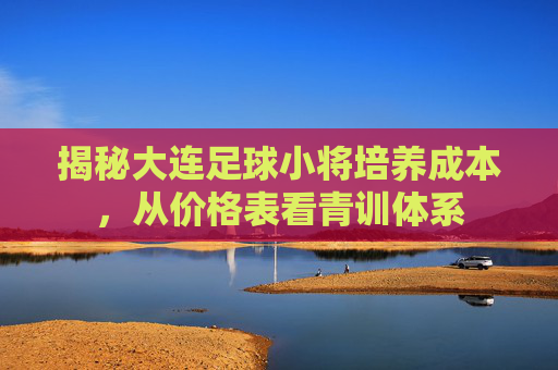 揭秘大连足球小将培养成本，从价格表看青训体系