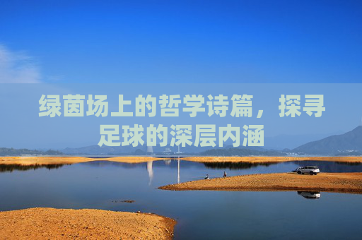 绿茵场上的哲学诗篇，探寻足球的深层内涵