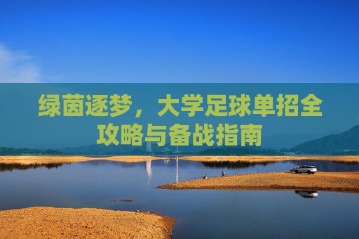 绿茵逐梦，大学足球单招全攻略与备战指南