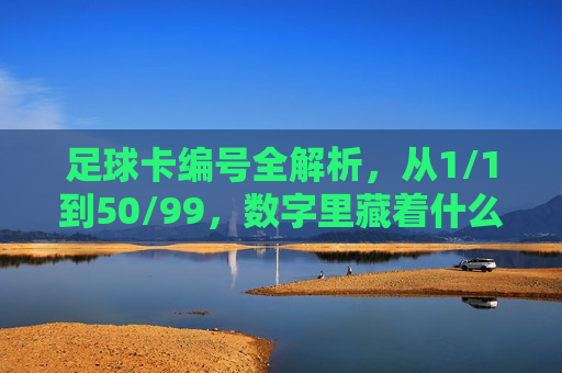 足球卡编号全解析，从1/1到50/99，数字里藏着什么秘密？