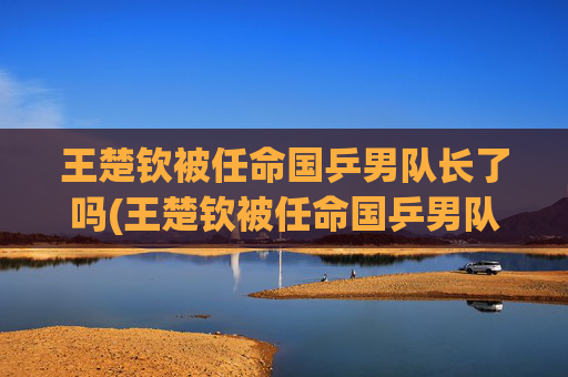 王楚钦被任命国乒男队长了吗(王楚钦被任命国乒男队长了吗)