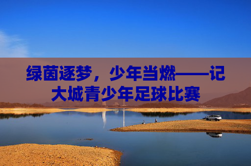 绿茵逐梦,少年当燃——记大城青少年足球比赛