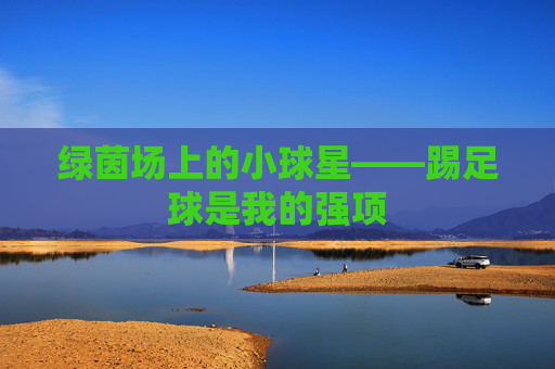 绿茵场上的小球星——踢足球是我的强项