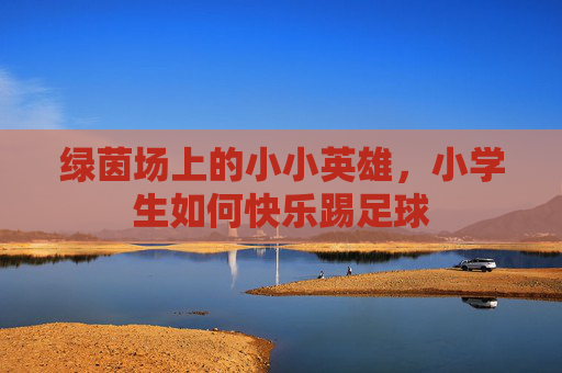 绿茵场上的小小英雄,小学生如何快乐踢足球