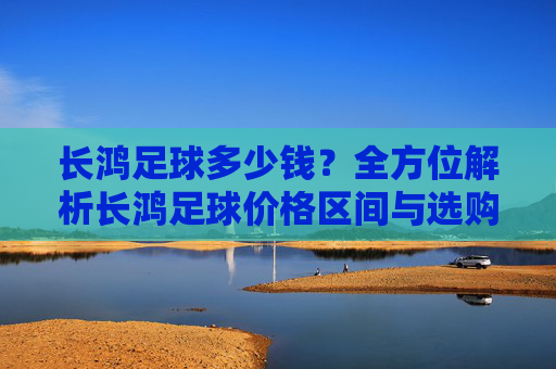 长鸿足球多少钱?全方位解析长鸿足球价格区间与选购指南