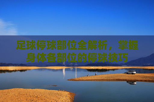 足球停球部位全解析,掌握身体各部位的停球技巧