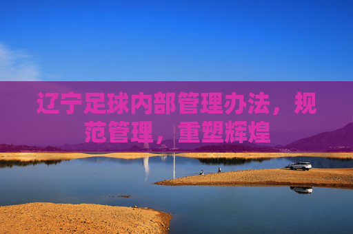 辽宁足球内部管理办法，规范管理，重塑辉煌