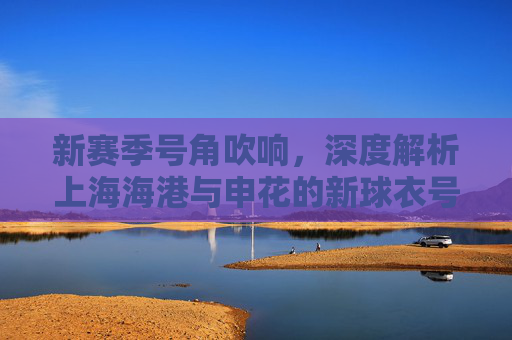 新赛季号角吹响，深度解析上海海港与申花的新球衣号码变动