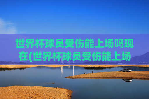 世界杯球员受伤能上场吗现在(世界杯球员受伤能上场吗现在怎么样)
