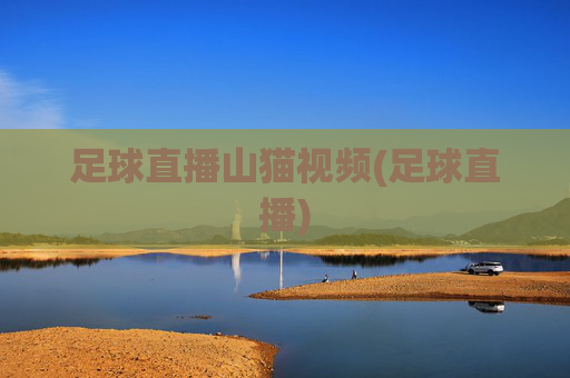 足球直播山猫视频(足球直播)
