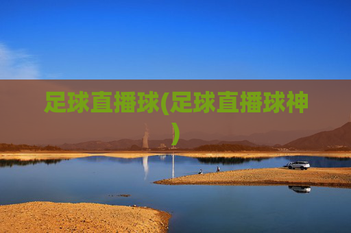 足球直播球(足球直播球神)