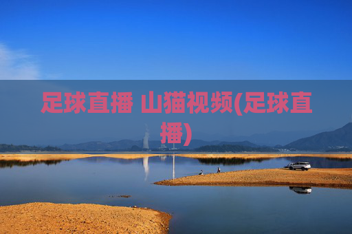 足球直播 山猫视频(足球直播)