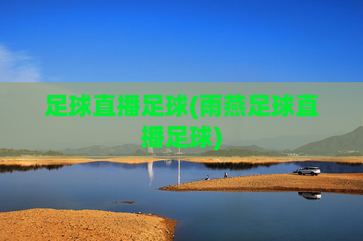 足球直播足球(雨燕足球直播足球)