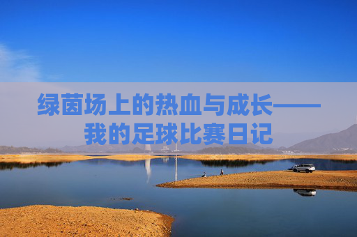 绿茵场上的热血与成长——我的足球比赛日记