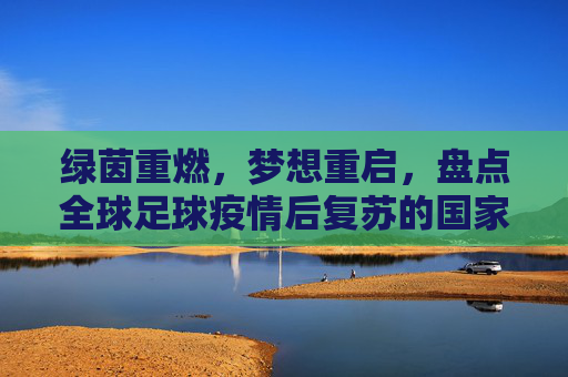 绿茵重燃,梦想重启,盘点全球足球疫情后复苏的国家