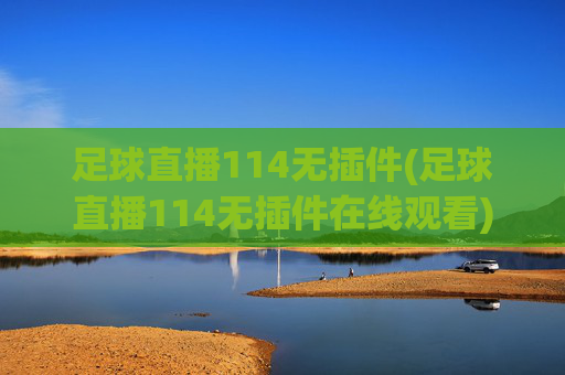 足球直播114无插件(足球直播114无插件在线观看)