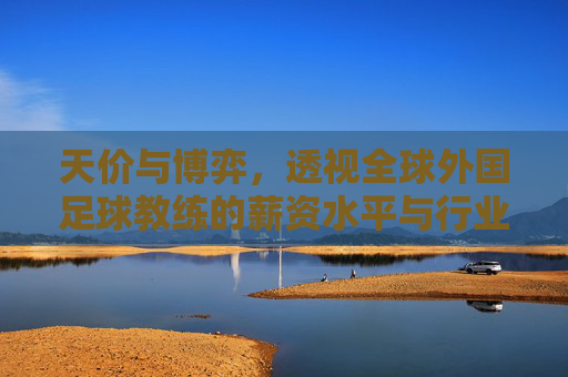 天价与博弈,透视全球外国足球教练的薪资水平与行业生态