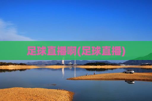 足球直播啊(足球直播)