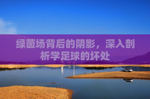 绿茵场背后的阴影,深入剖析学足球的坏处