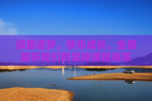 绿茵逐梦,快乐成长,全面解析我们的足球课程体系