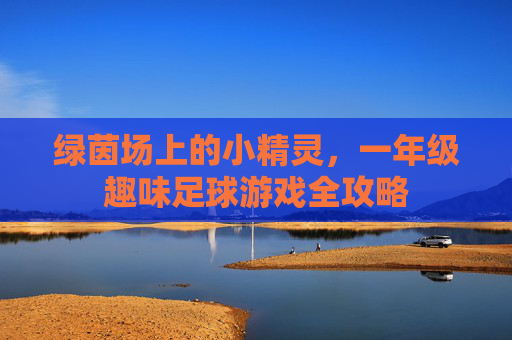 绿茵场上的小精灵,一年级趣味足球游戏全攻略