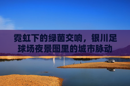 霓虹下的绿茵交响,银川足球场夜景图里的城市脉动