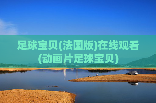 足球宝贝(法国版)在线观看(动画片足球宝贝)