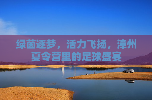 绿茵逐梦，活力飞扬，漳州夏令营里的足球盛宴