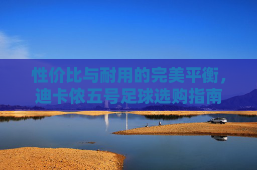 性价比与耐用的完美平衡,迪卡侬五号足球选购指南
