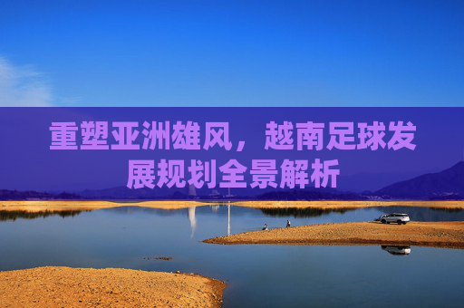 重塑亚洲雄风,越南足球发展规划全景解析