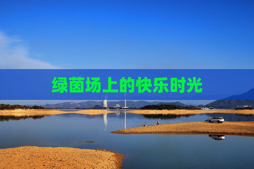 绿茵场上的快乐时光