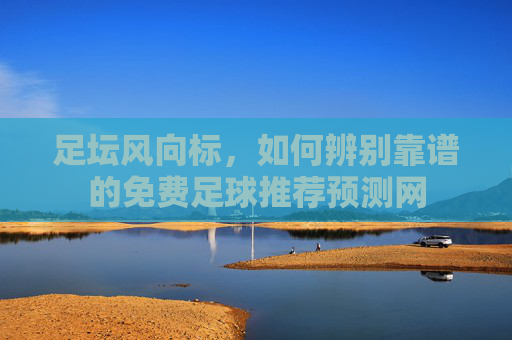 足坛风向标,如何辨别靠谱的免费足球推荐预测网