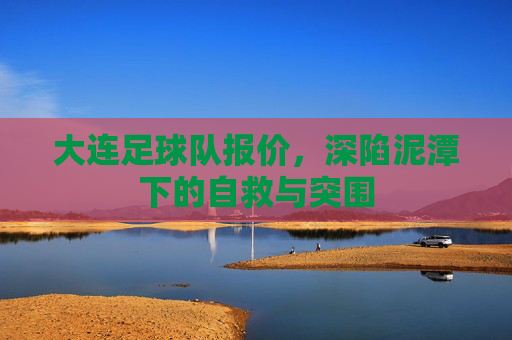 大连足球队报价,深陷泥潭下的自救与突围
