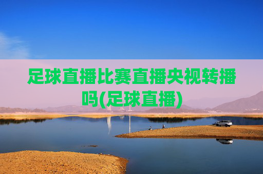 足球直播比赛直播央视转播吗(足球直播)