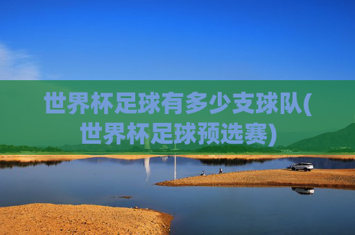 世界杯足球有多少支球队(世界杯足球预选赛)