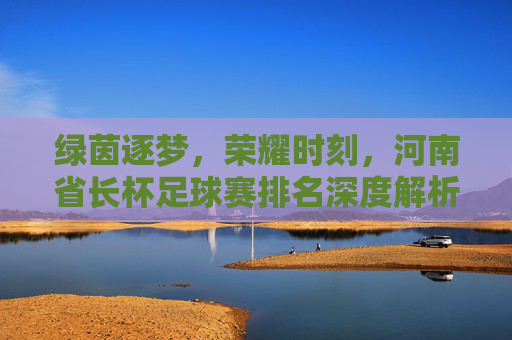 绿茵逐梦,荣耀时刻,河南省长杯足球赛排名深度解析