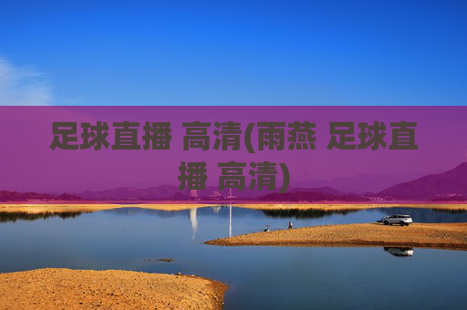 足球直播 高清(雨燕 足球直播 高清)