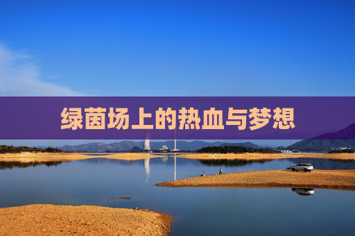 绿茵场上的热血与梦想