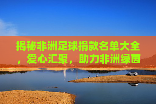 揭秘非洲足球捐款名单大全，爱心汇聚，助力非洲绿茵场