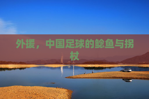 外援,中国足球的鲶鱼与拐杖