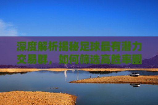 深度解析揭秘足球最有潜力交易群,如何筛选高胜率圈子与实战技巧