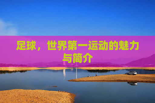 足球,世界第一运动的魅力与简介