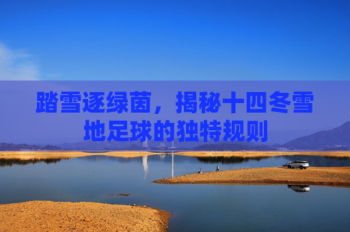 踏雪逐绿茵，揭秘十四冬雪地足球的独特规则