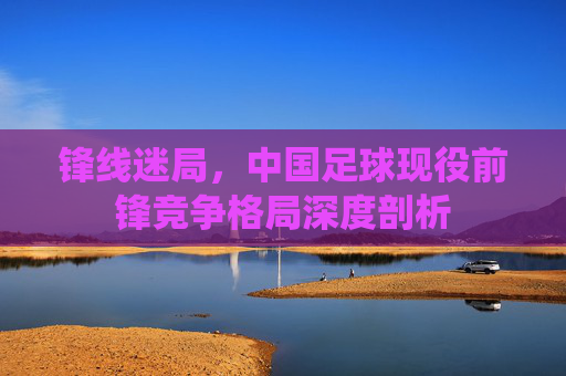 锋线迷局,中国足球现役前锋竞争格局深度剖析