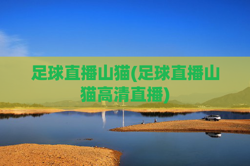 足球直播山猫(足球直播山猫高清直播)