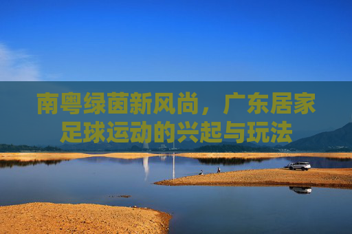 南粤绿茵新风尚,广东居家足球运动的兴起与玩法