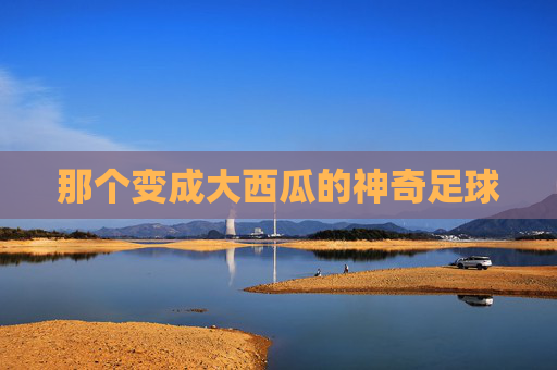 那个变成大西瓜的神奇足球