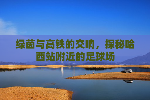 绿茵与高铁的交响,探秘哈西站附近的足球场