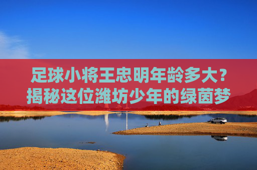 足球小将王忠明年龄多大?揭秘这位潍坊少年的绿茵梦想