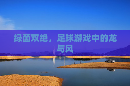 绿茵双绝,足球游戏中的龙与风